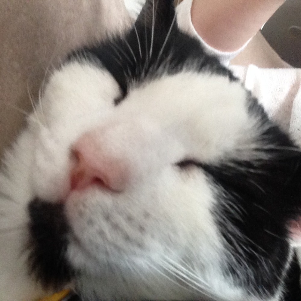 Meet your Posher, Betsy